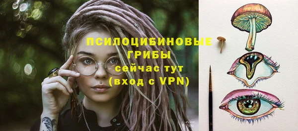 ECSTASY Заводоуковск